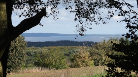 Horsens fjord fra Purhøj