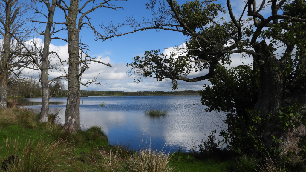 Udsyn over Mossø