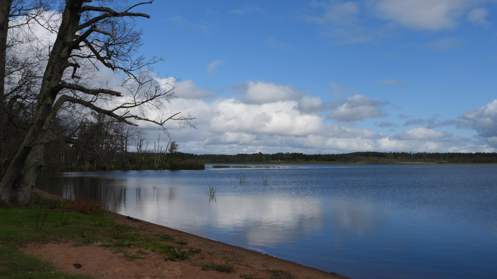 Vandkanten ved Mossø