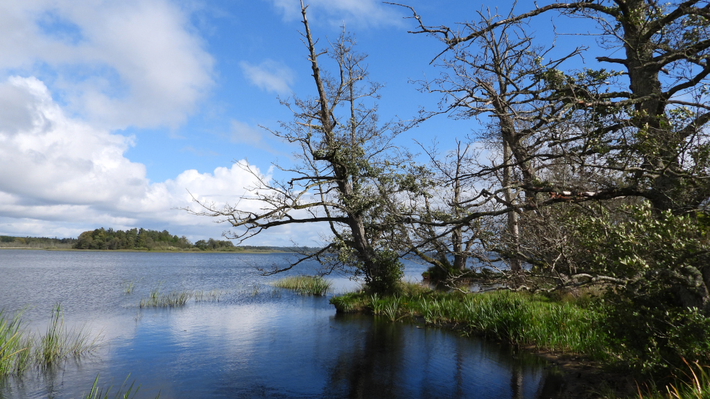 Bredden ved Mossø