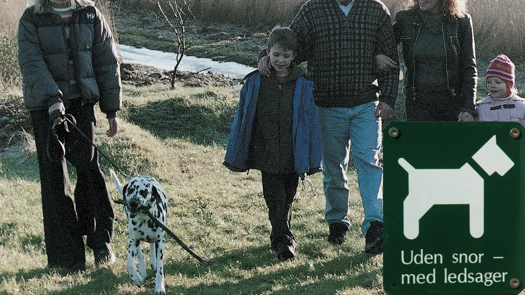 A Dalmatian walking with its family on a lawn