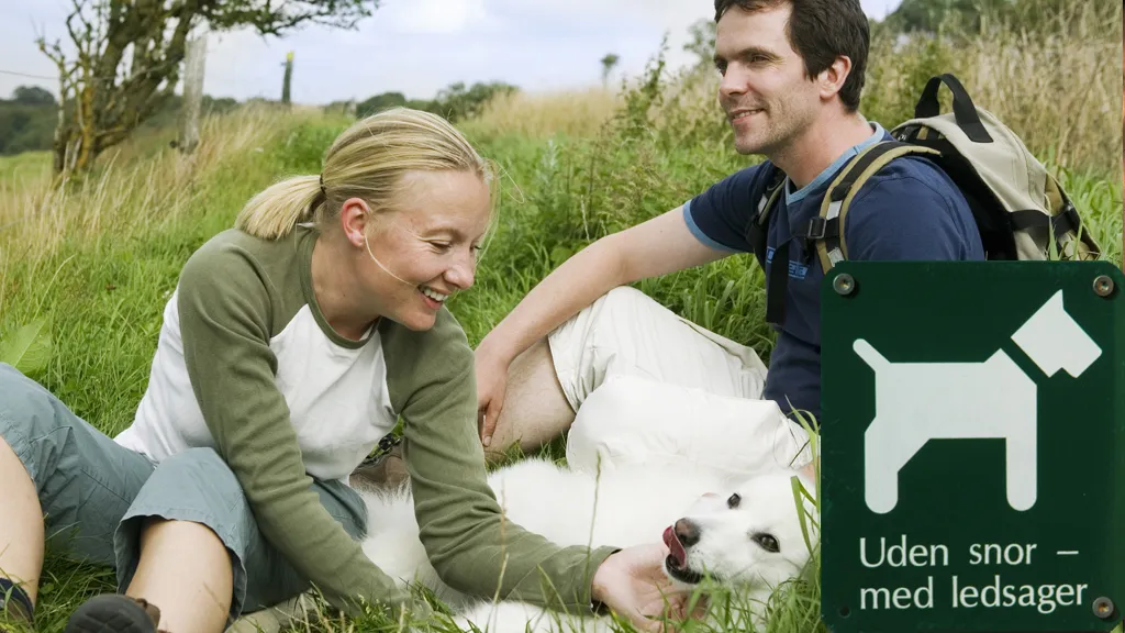 A couple petting a white dog in the grass