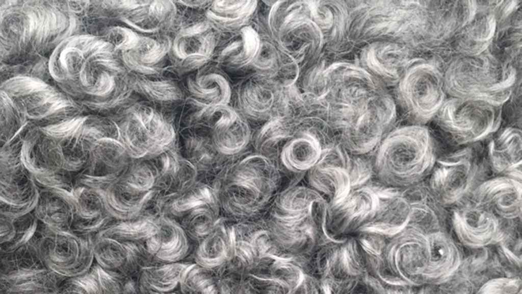 Tessebølle Sheep and Wool - Køge