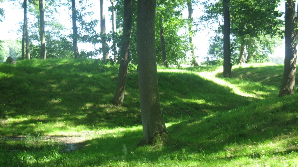 Bjoernkaers- ruiner-i-skoven