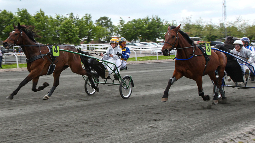 Corporate harness racing