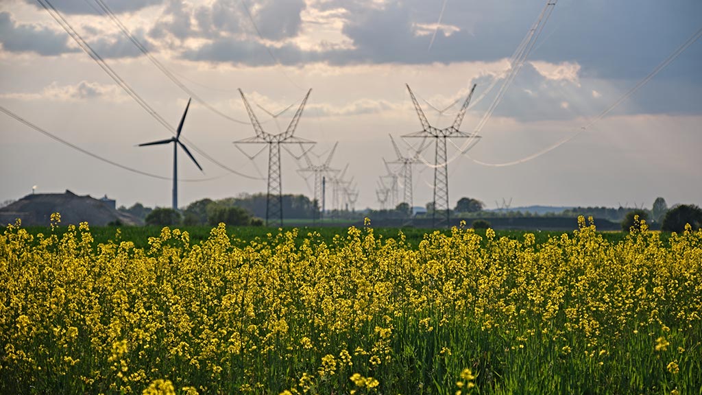 Carl Nielsens Camino