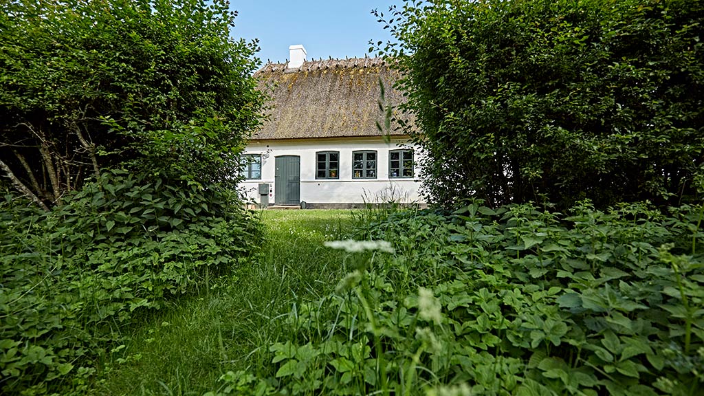 Carl Nielsens Camino