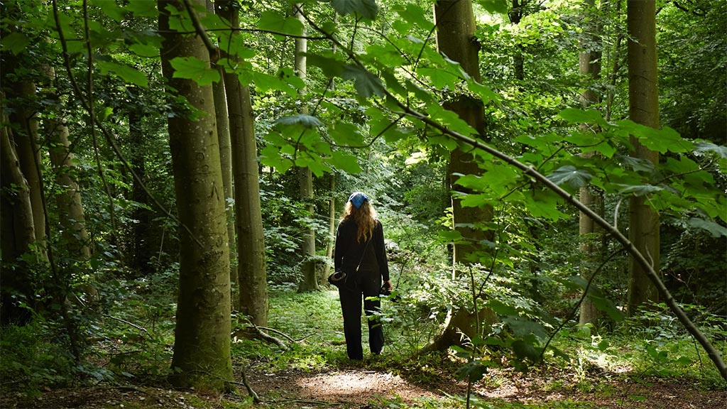 Carl's Camino - woman in forest