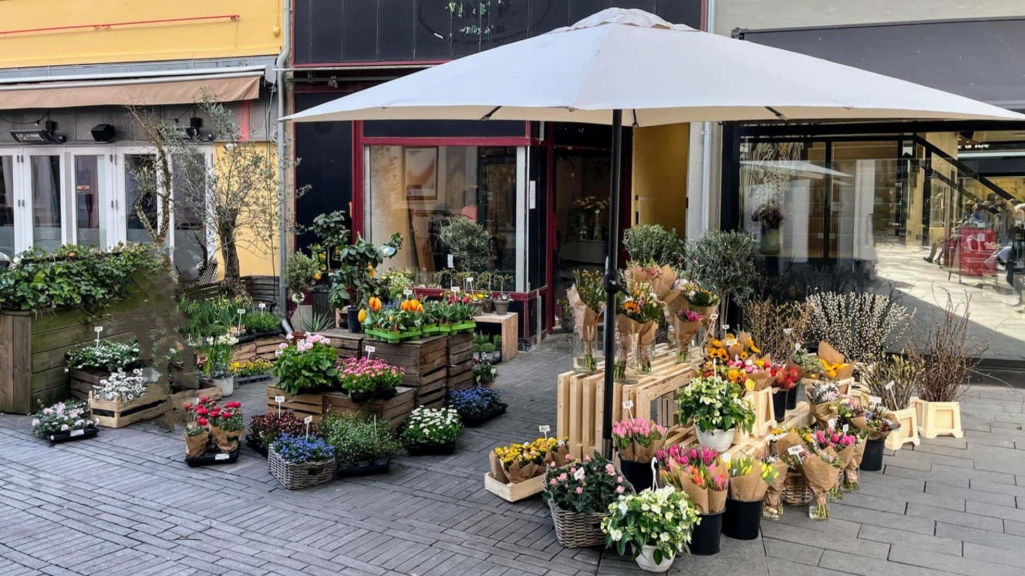 Flower shop Munkedam Blomster