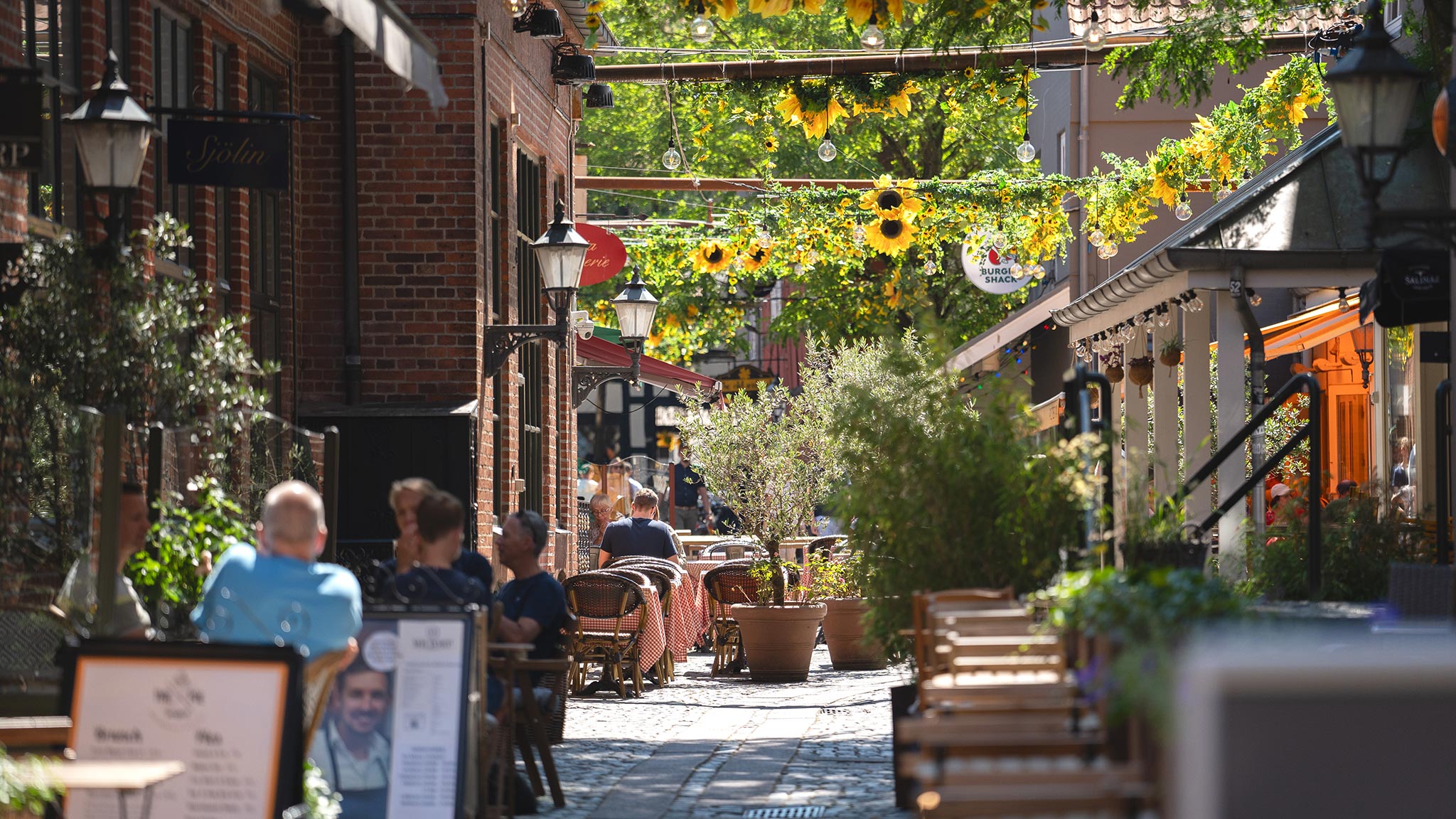 Vintapperstræde Sommer