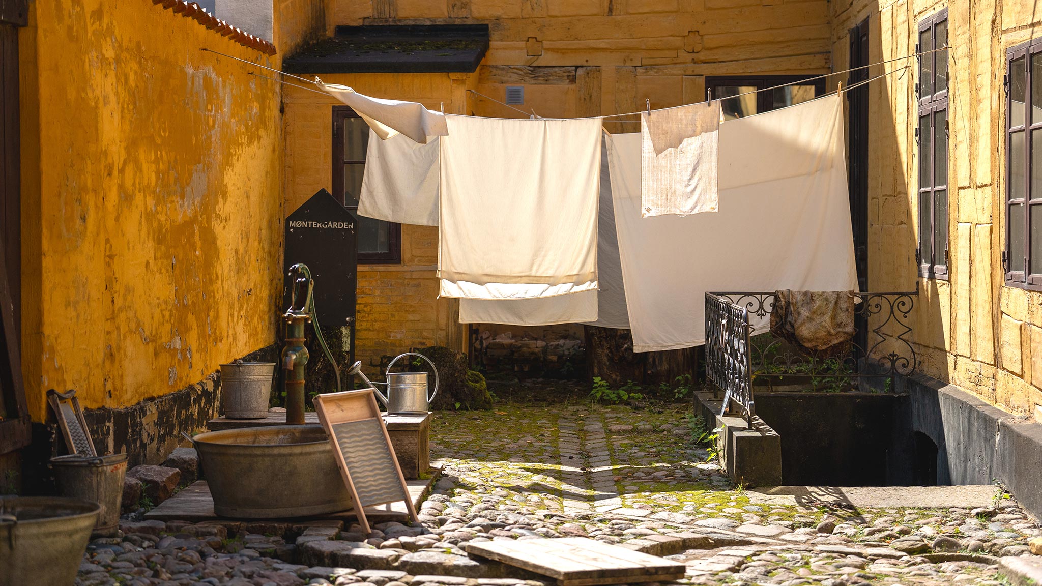 The Children’s Backyard