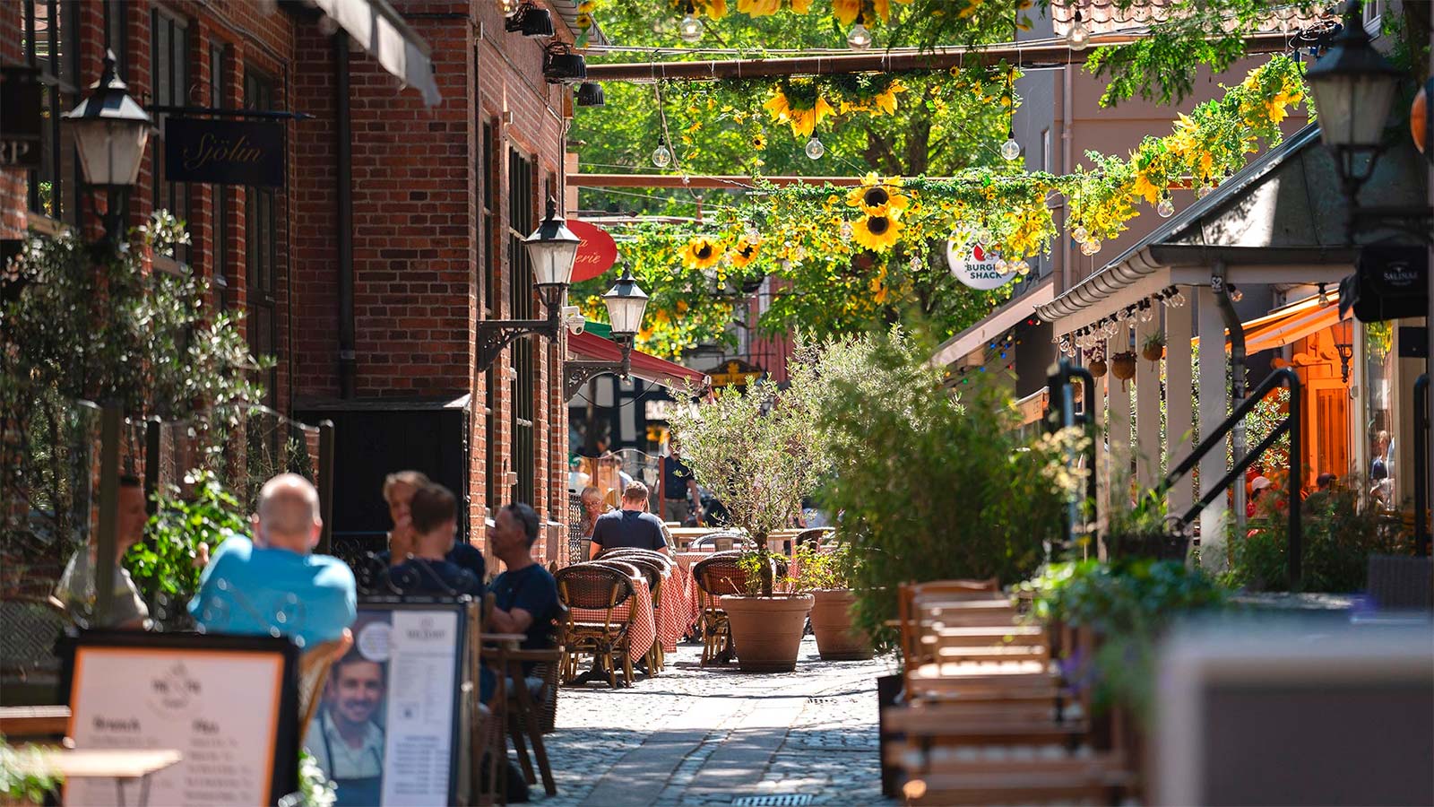 Summer in Vintapperstræde 2024