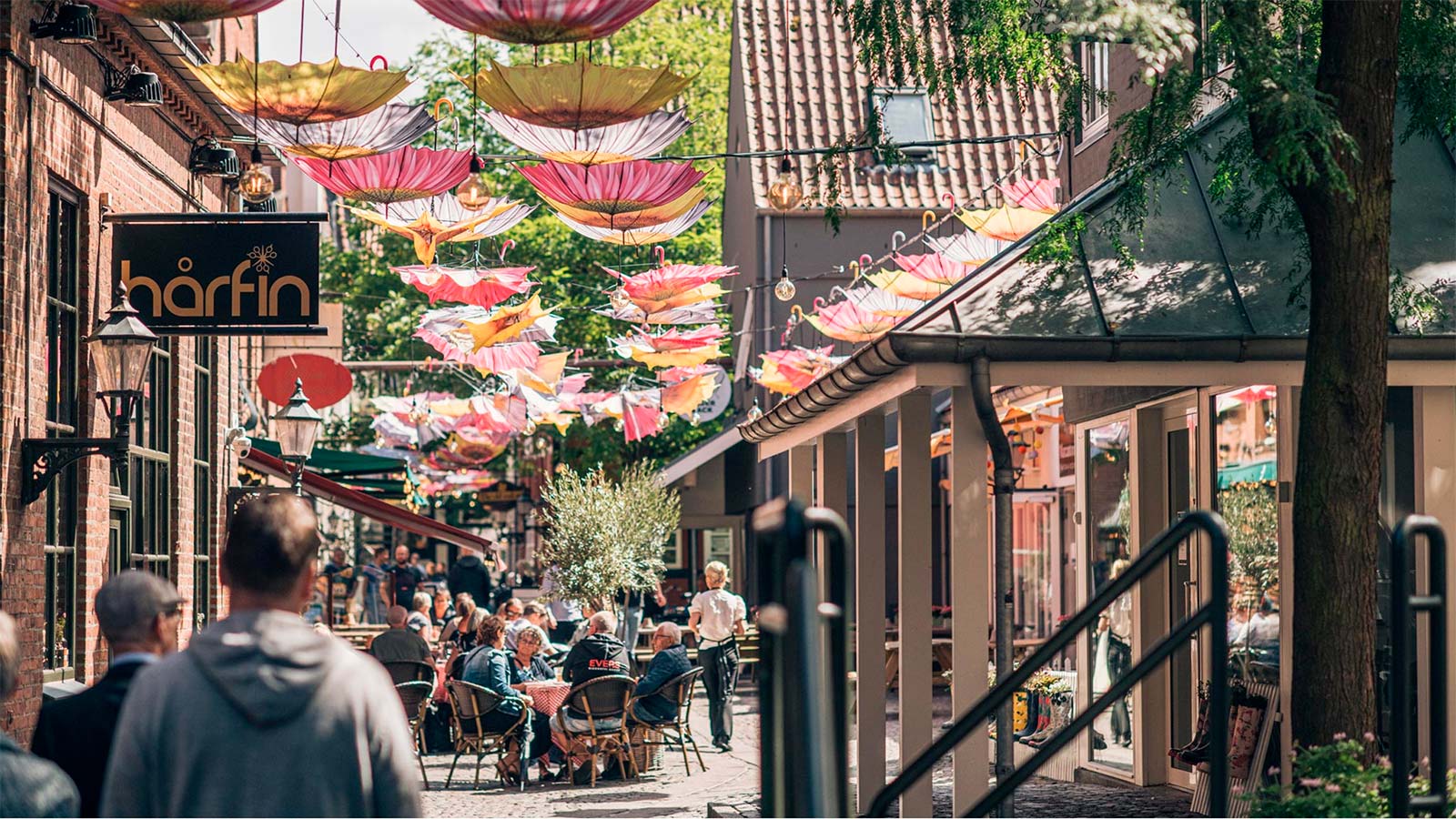 Summer in Vintapperstræde 2024
