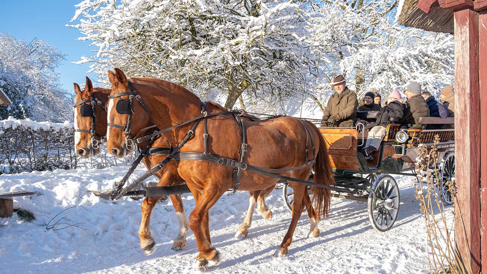 Horse-drawn carriage at The Funen Village in winter