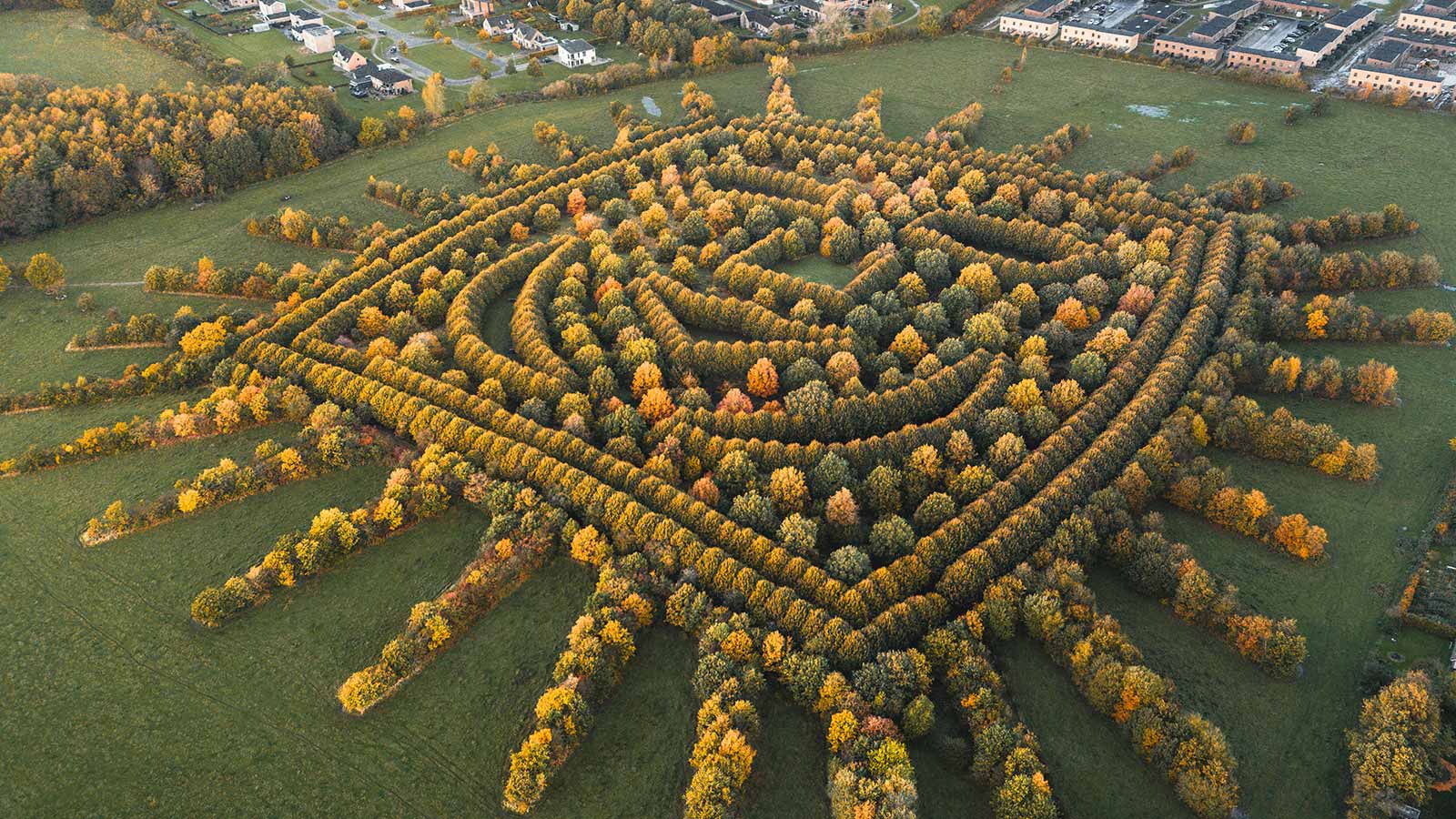 Aerial view of H.C. Andersen Forest