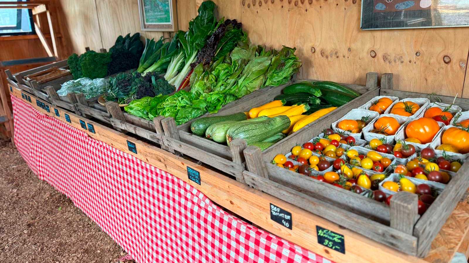 CSA mini farm