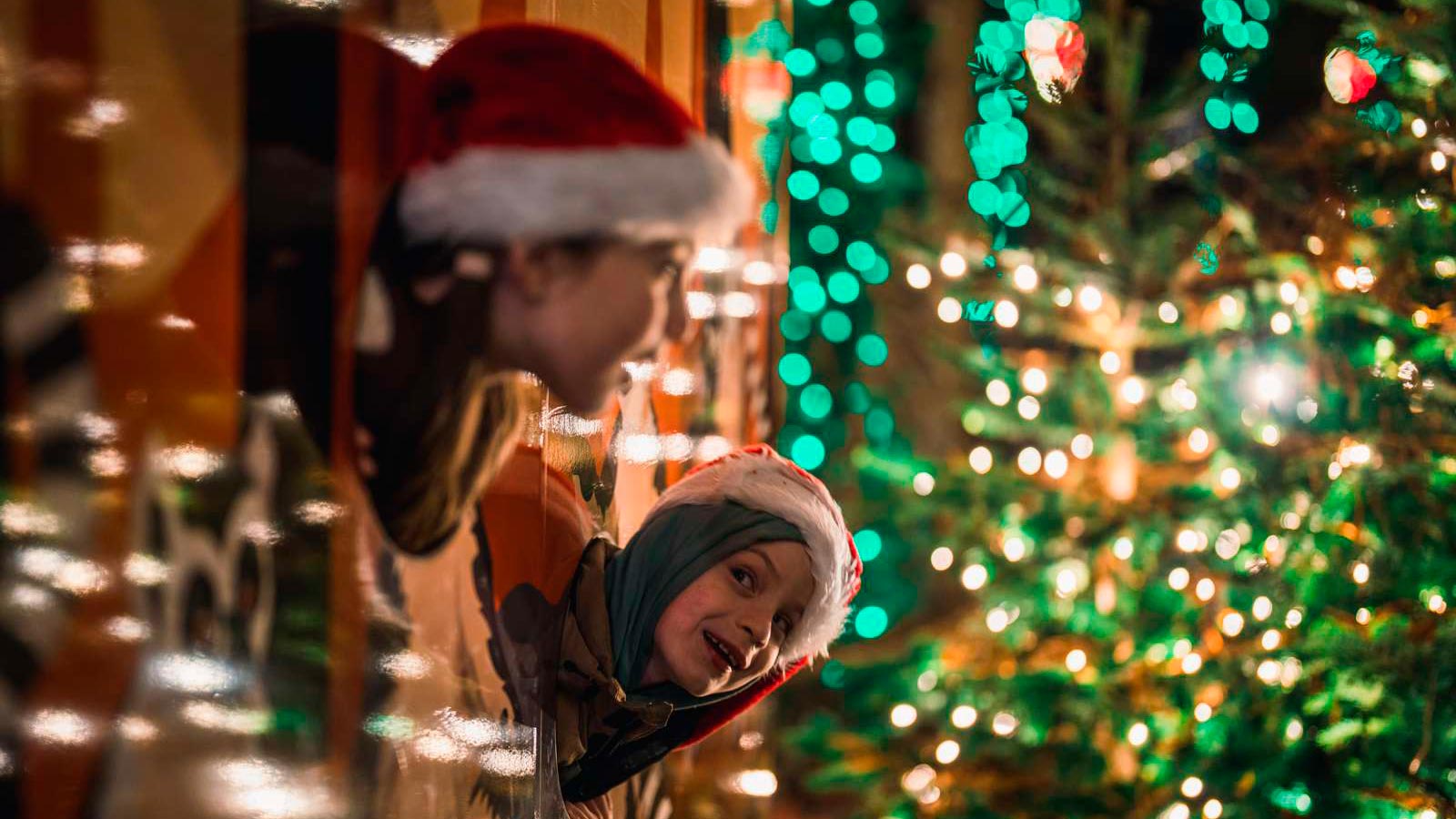 Christmas at the Odense ZOO