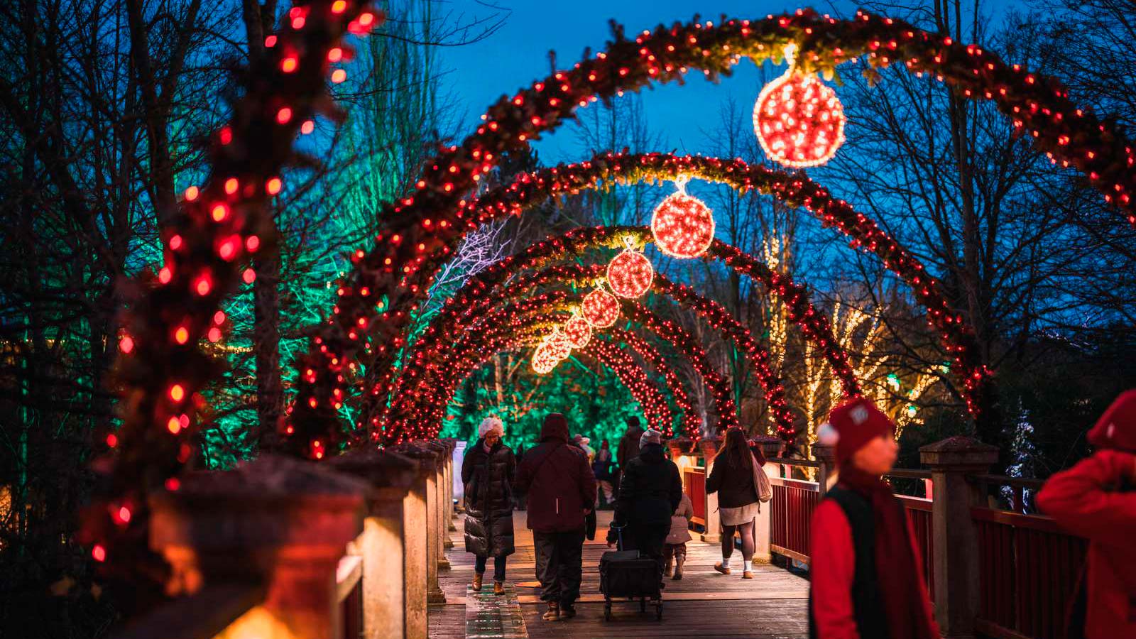 Christmas at the Odense ZOO