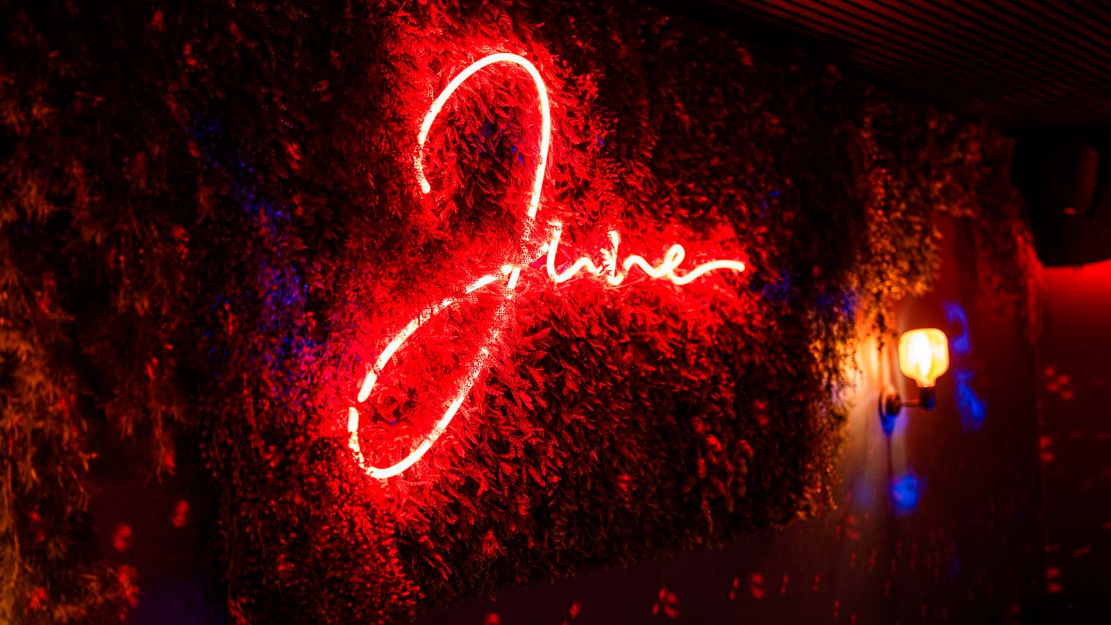 Neonlogo