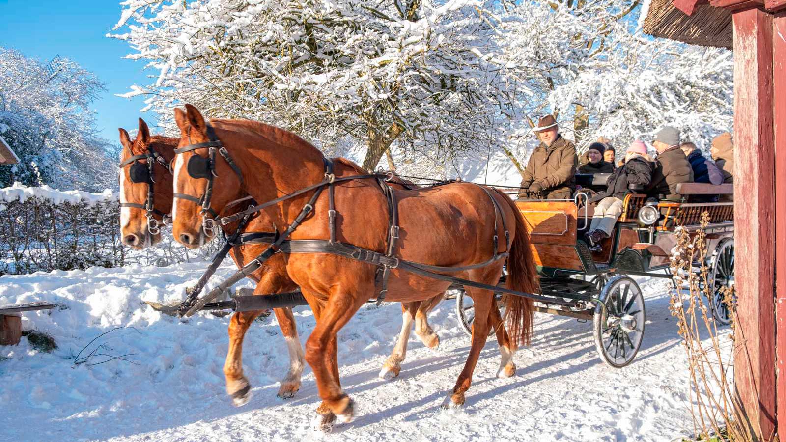 DFL Winter carriage