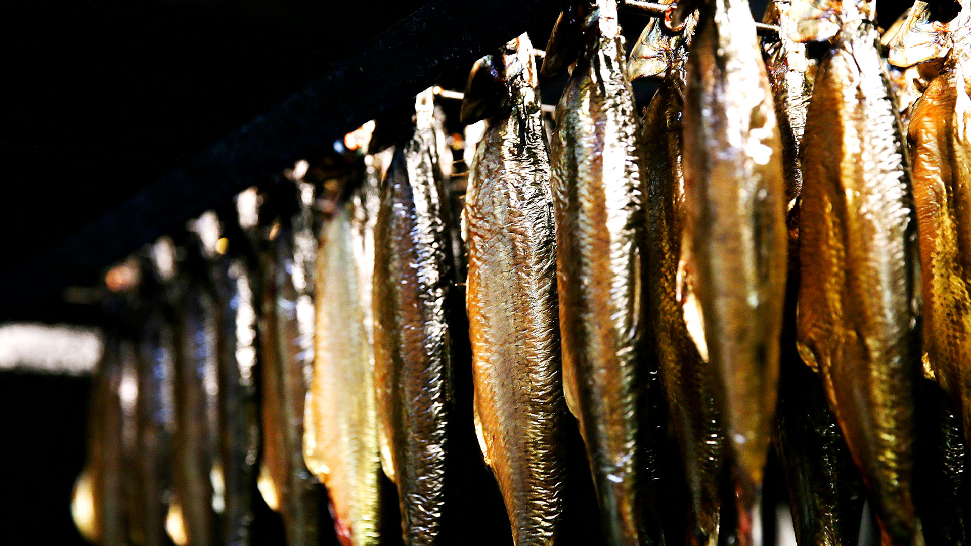 Rørvig Fisk & Røgeri