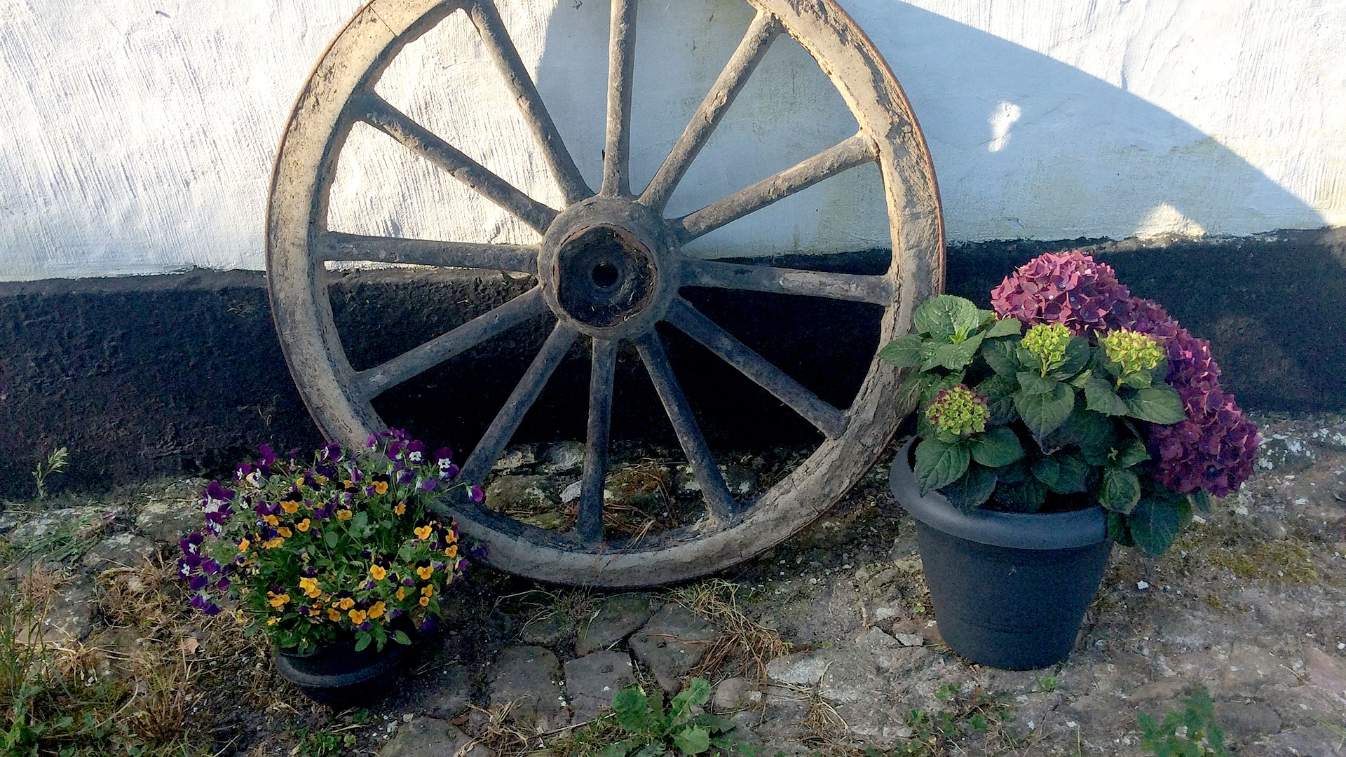 Bed & Kitchen Fri-land