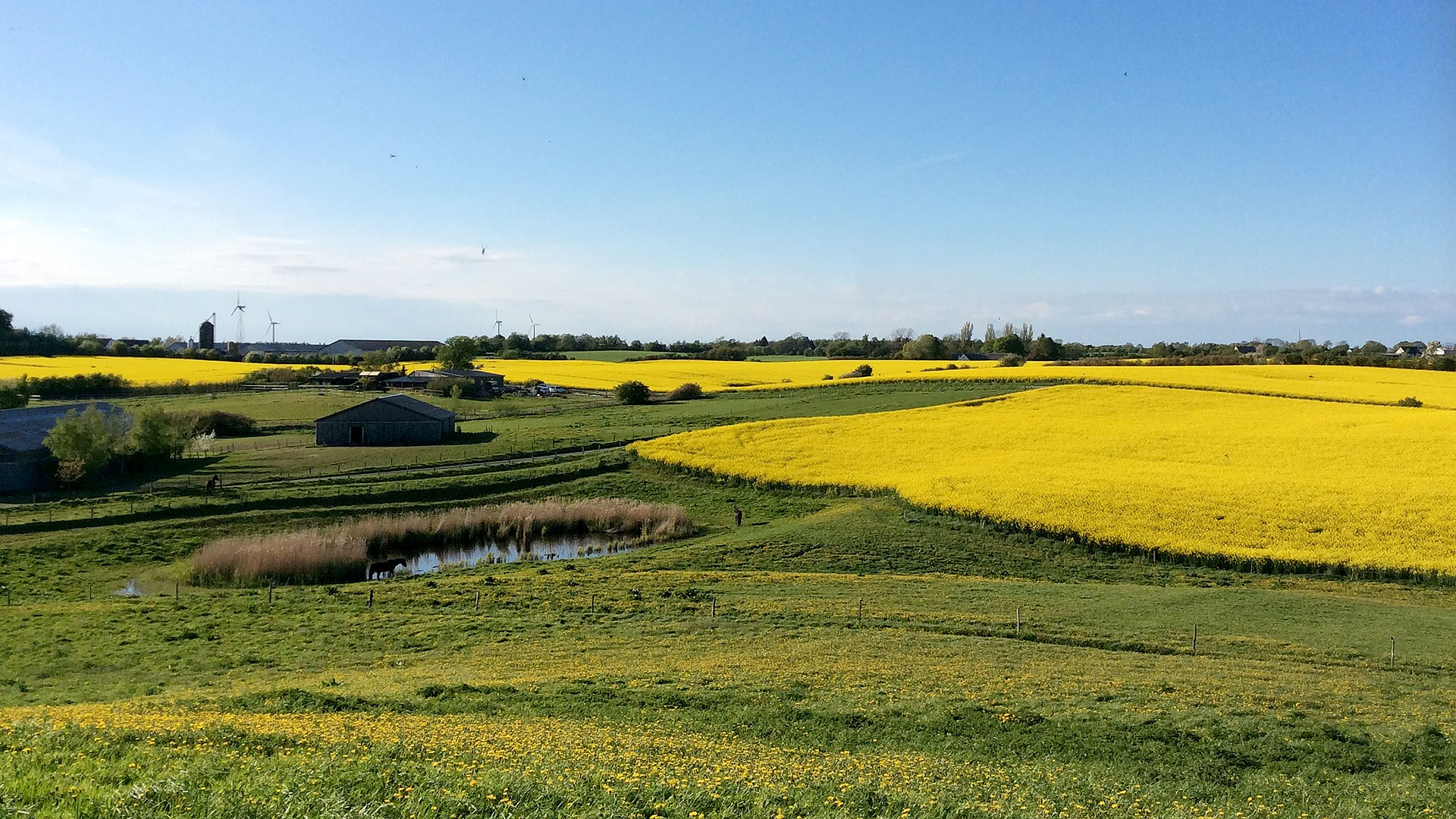 Bed & Kitchen Fri-land