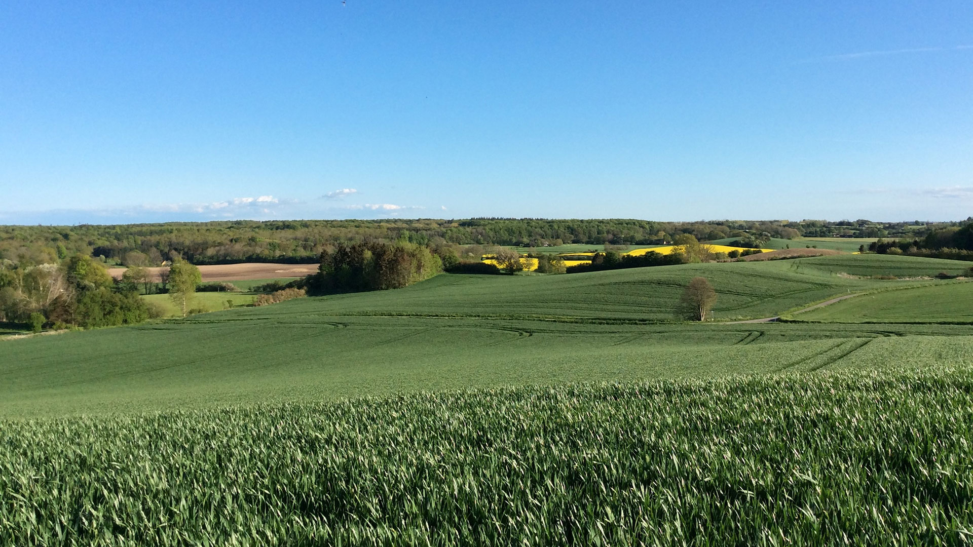 Bed & Kitchen Fri-land
