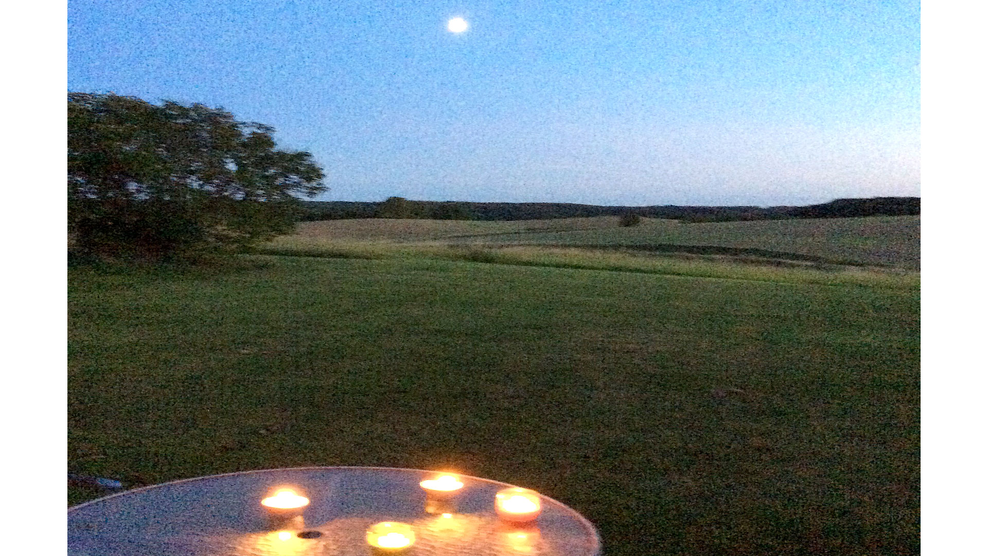 Bed & Kitchen Fri-land