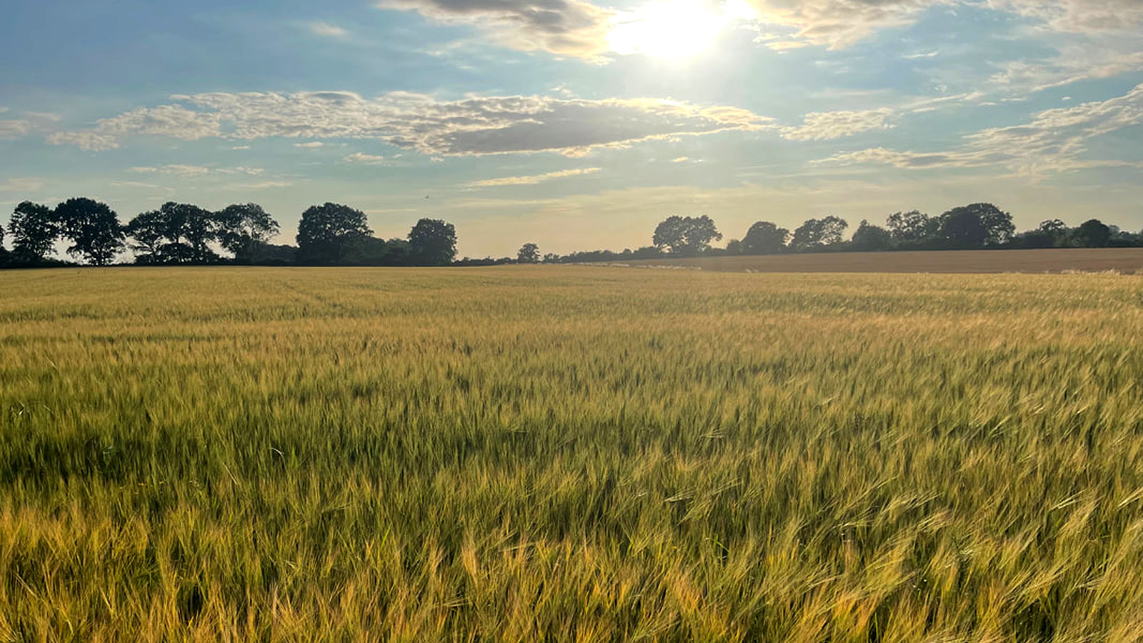 Gundigården Bed & Breakfast