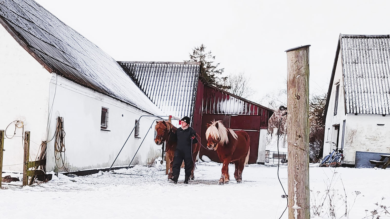 Rismosegård Bed & Breakfast