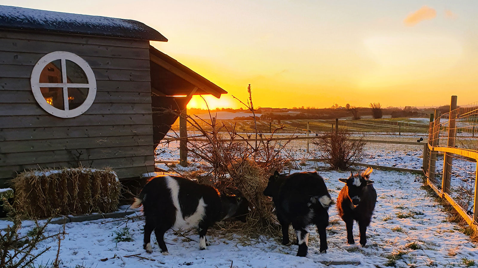 Rismosegård Bed & Breakfast