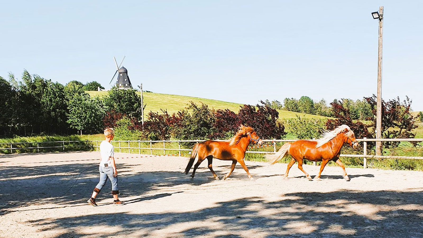 Rismosegård Bed & Breakfast