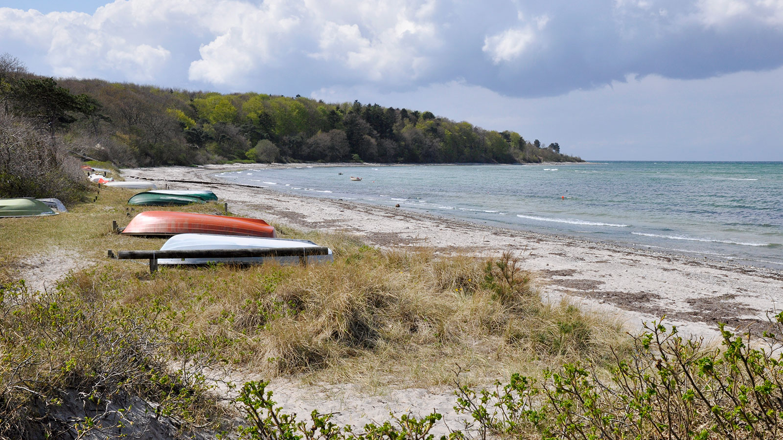 Rismosegård Bed & Breakfast