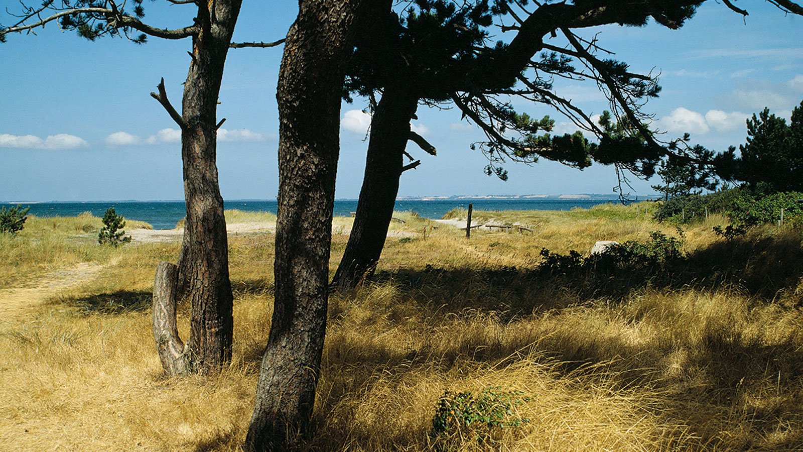 Rismosegård Bed & Breakfast