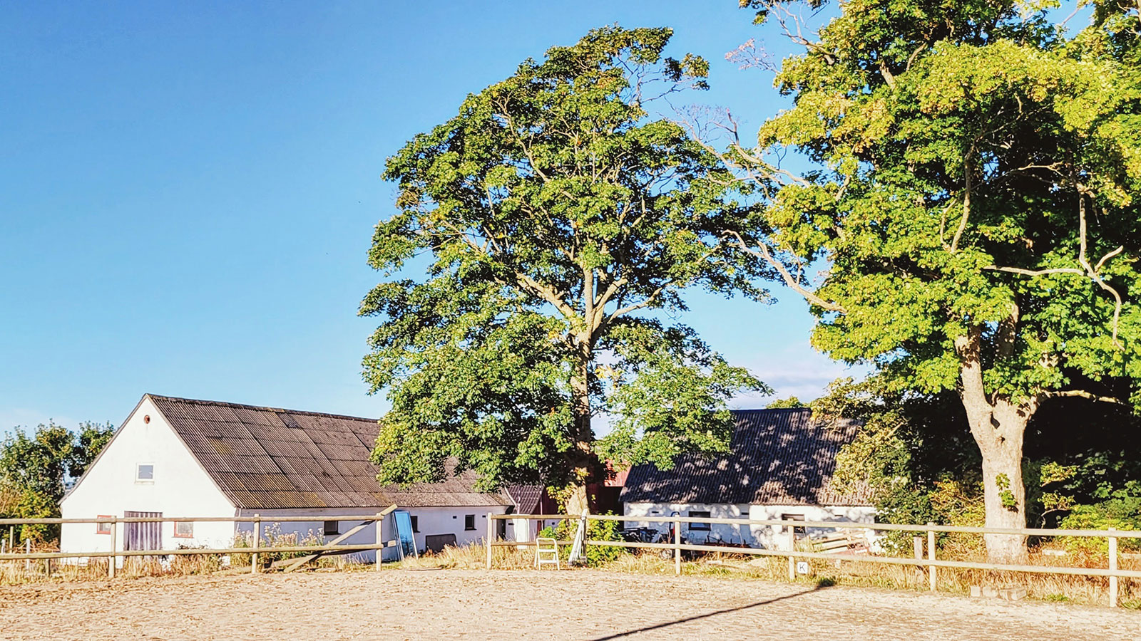 Rismosegård Bed & Breakfast