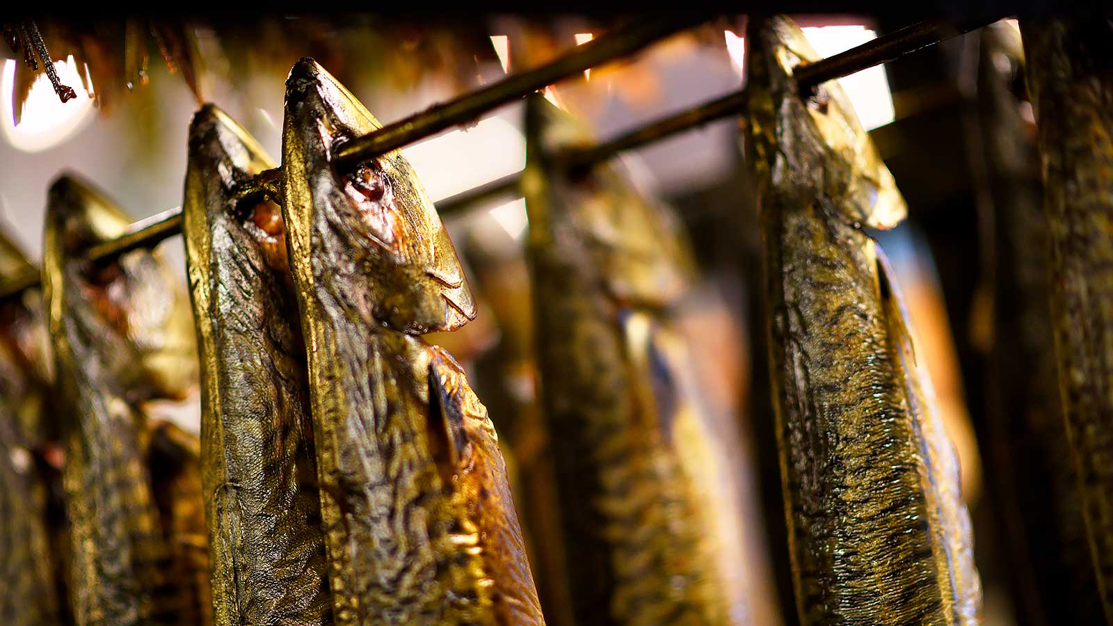 Rørvig Fisk & Røgeri