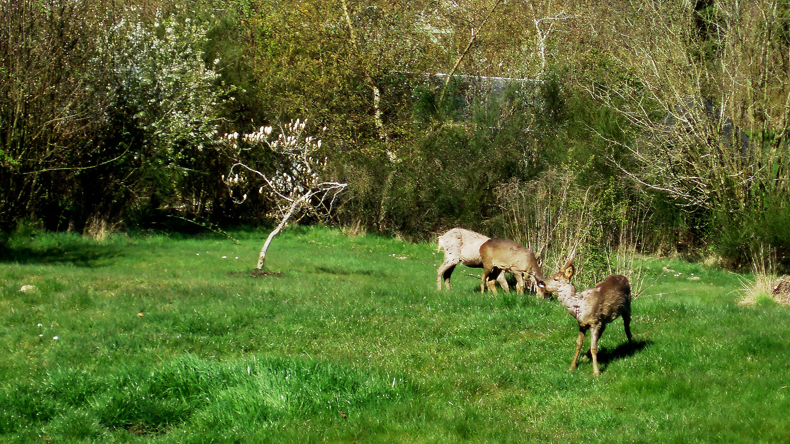Bed & Breakfast ved Sejerøbugten