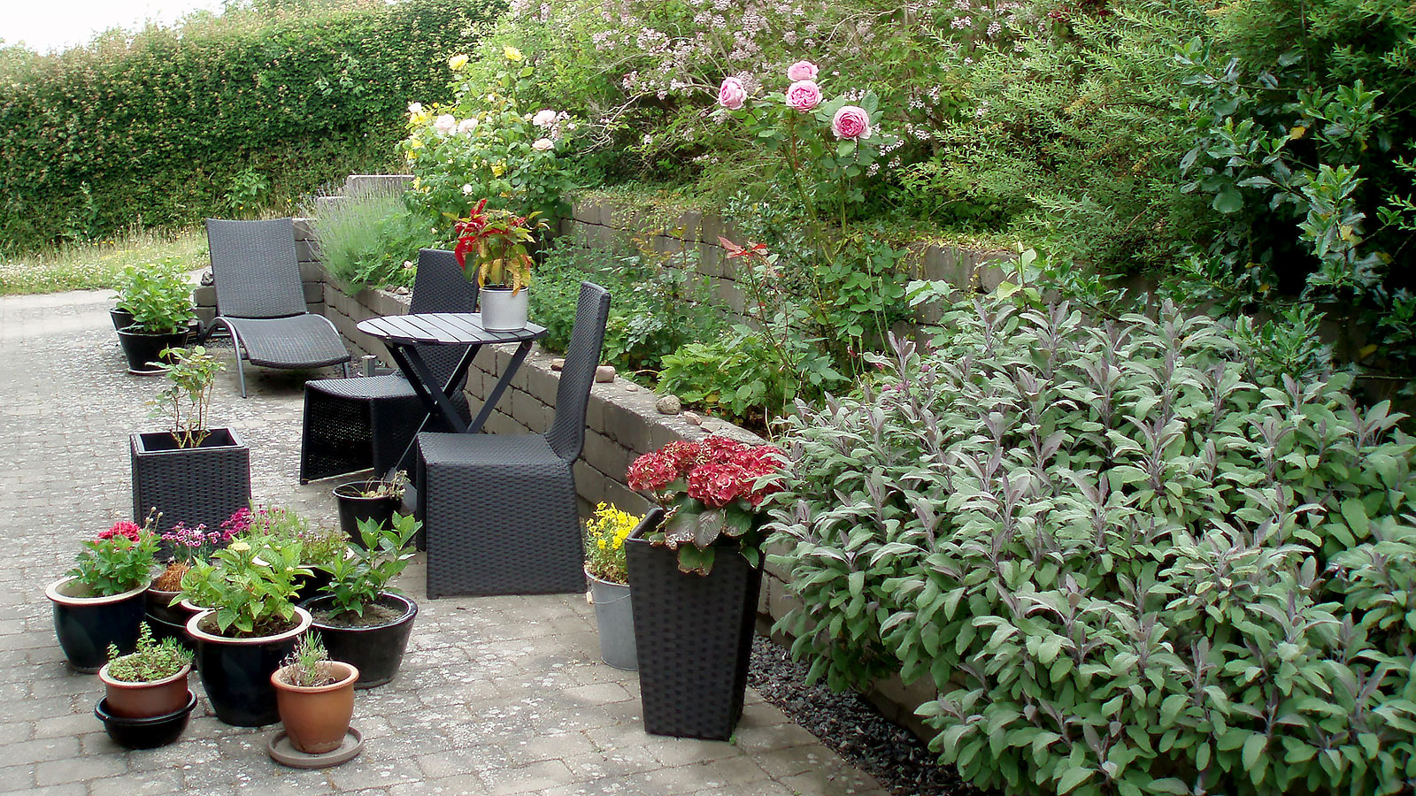 Bed & Breakfast ved Sejerøbugten