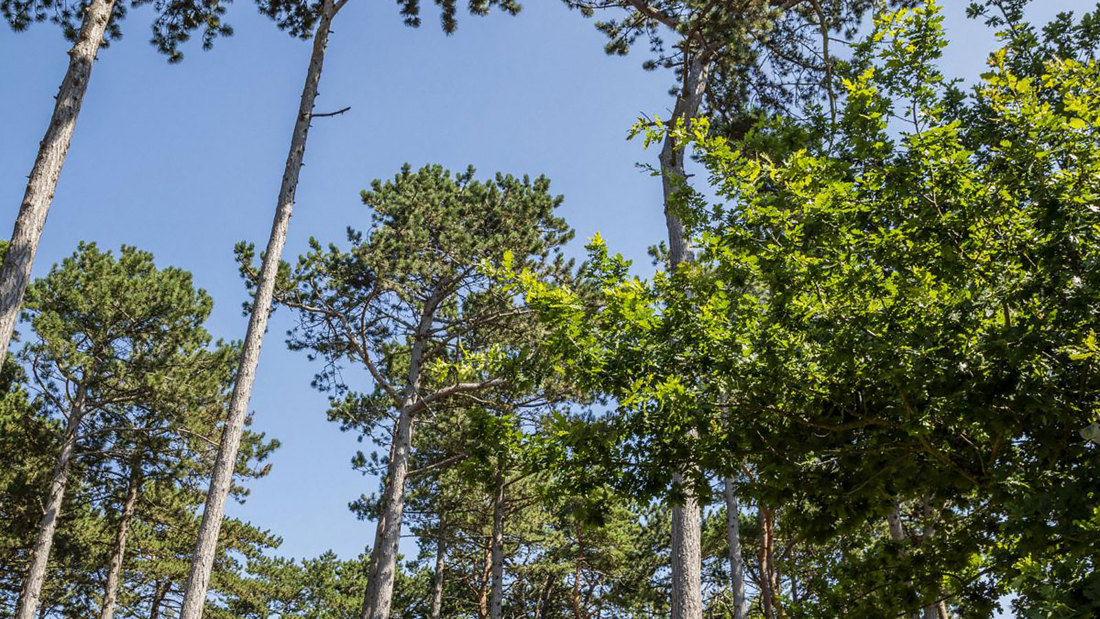 DCU-Camping Rørvig Strand