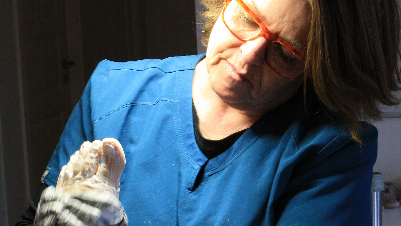 Fodkompagniet | Velvære | Krop og sind | Odsherred | Sjælland | Danmark