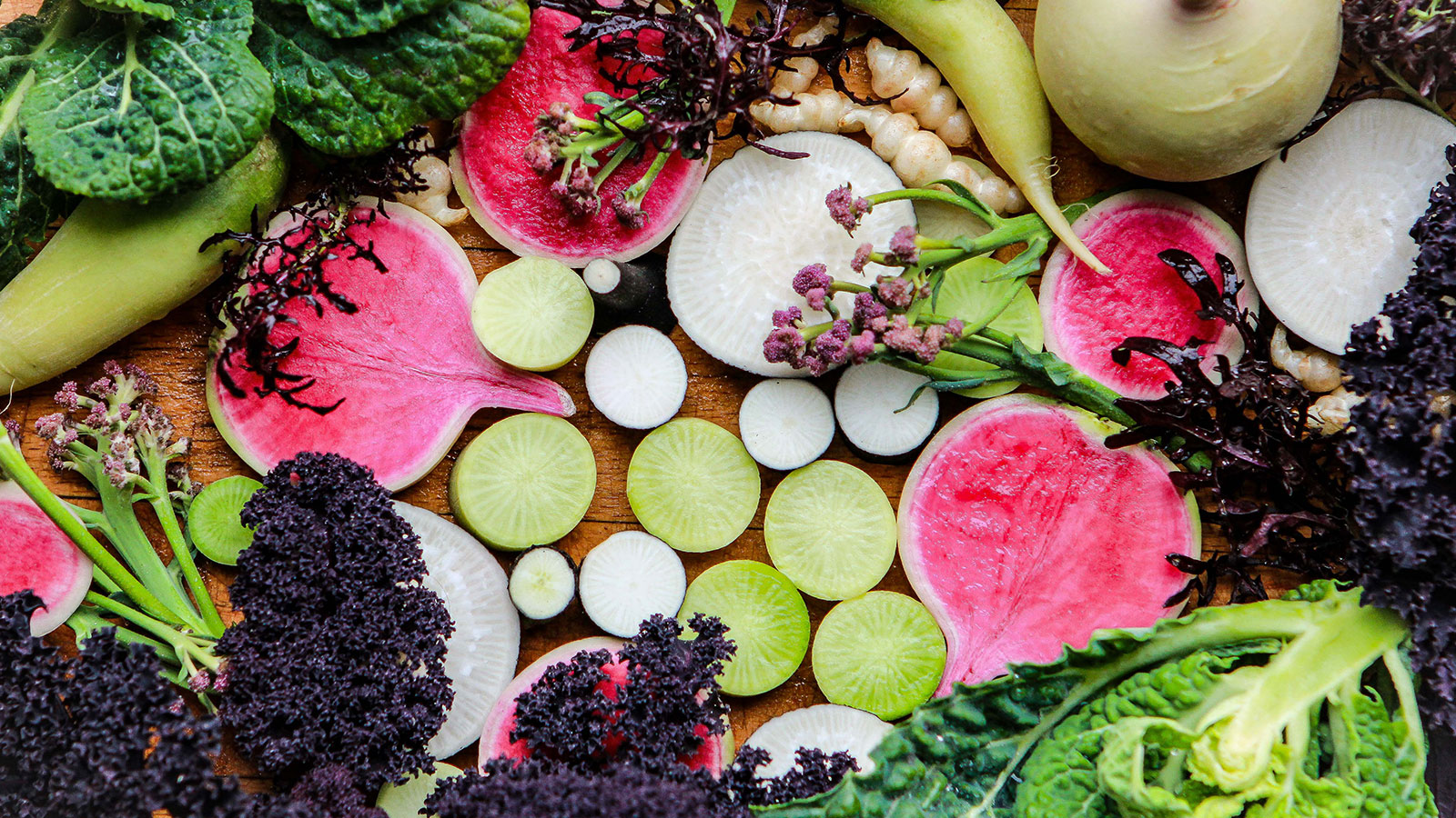 Vinterferie | Odsherred | 2026 | Det sker | Uge 7 | Aktiviteter i vinterferien | Børn | Familie | Odsherred | Sjælland | Danmark