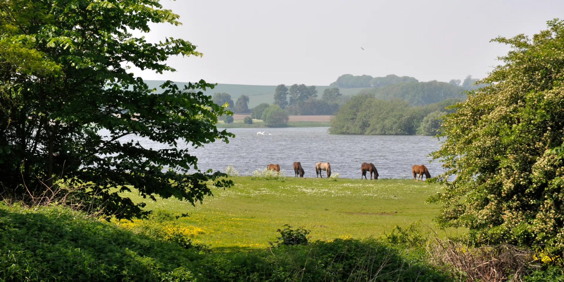 Højby Sø 2