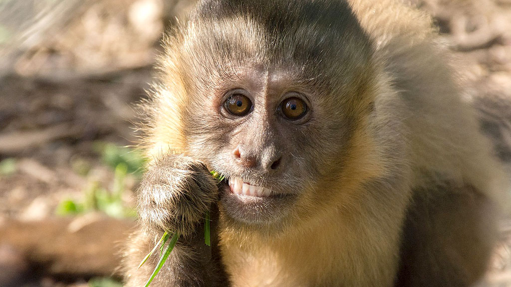 Odsherred Zoo Rescue