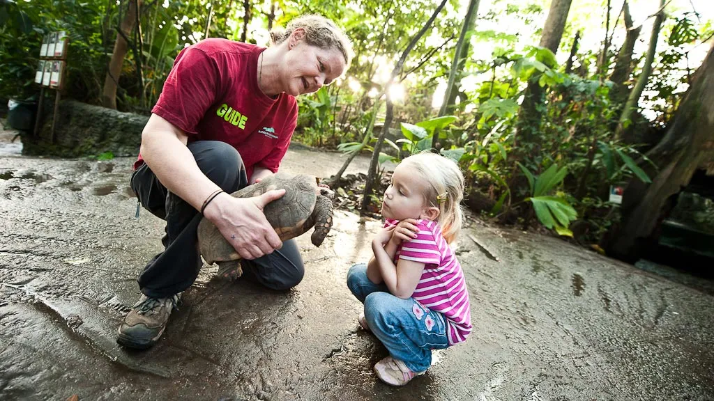 Randers Tropical Zoo tortoise and guide