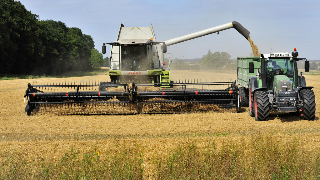 Combine harvester and tractor during the harvest at Ryegaard