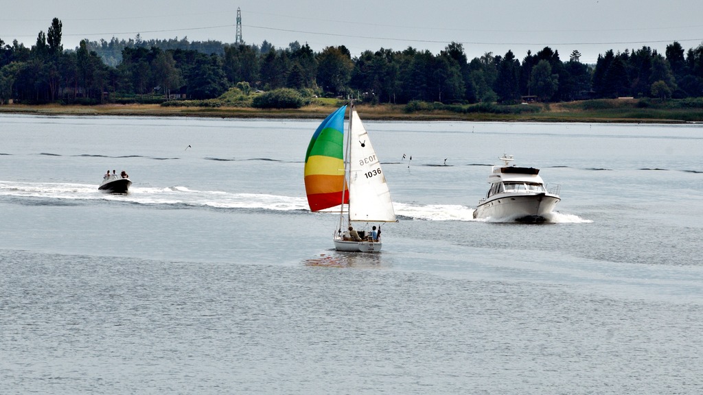 Sejlere på Roskilde Fjord ved Frederikssund