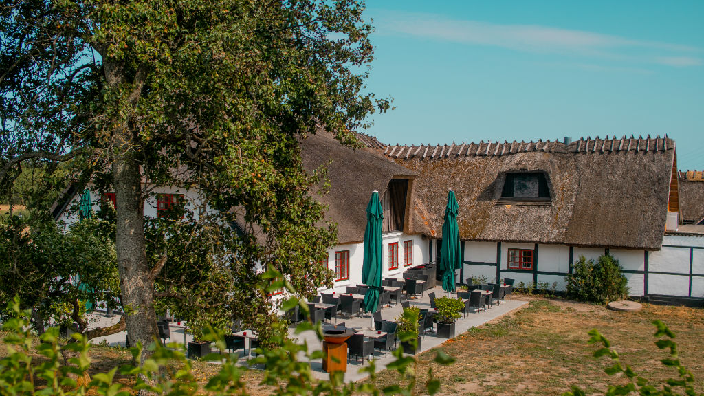 Courtyard with trees and a thatched building at Skoemagerkroen