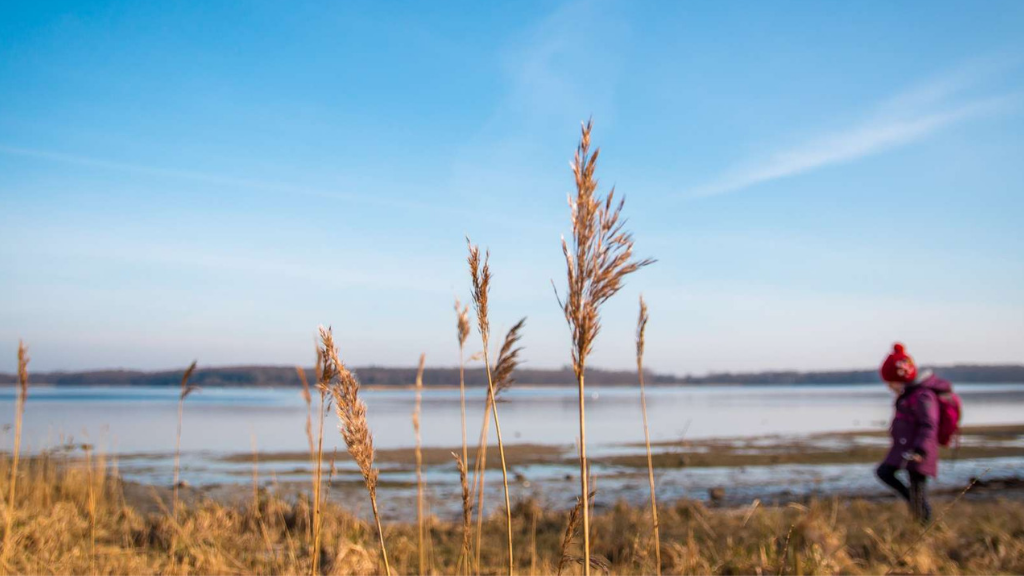 A guide to Fjordlandet's hiking trails