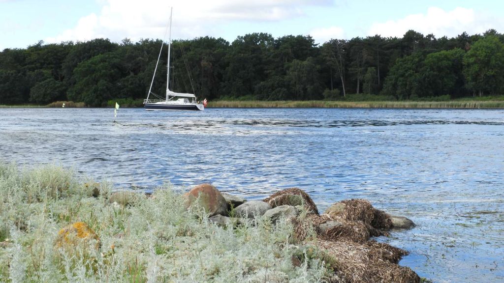 Eskildsø og Roskilde Fjord